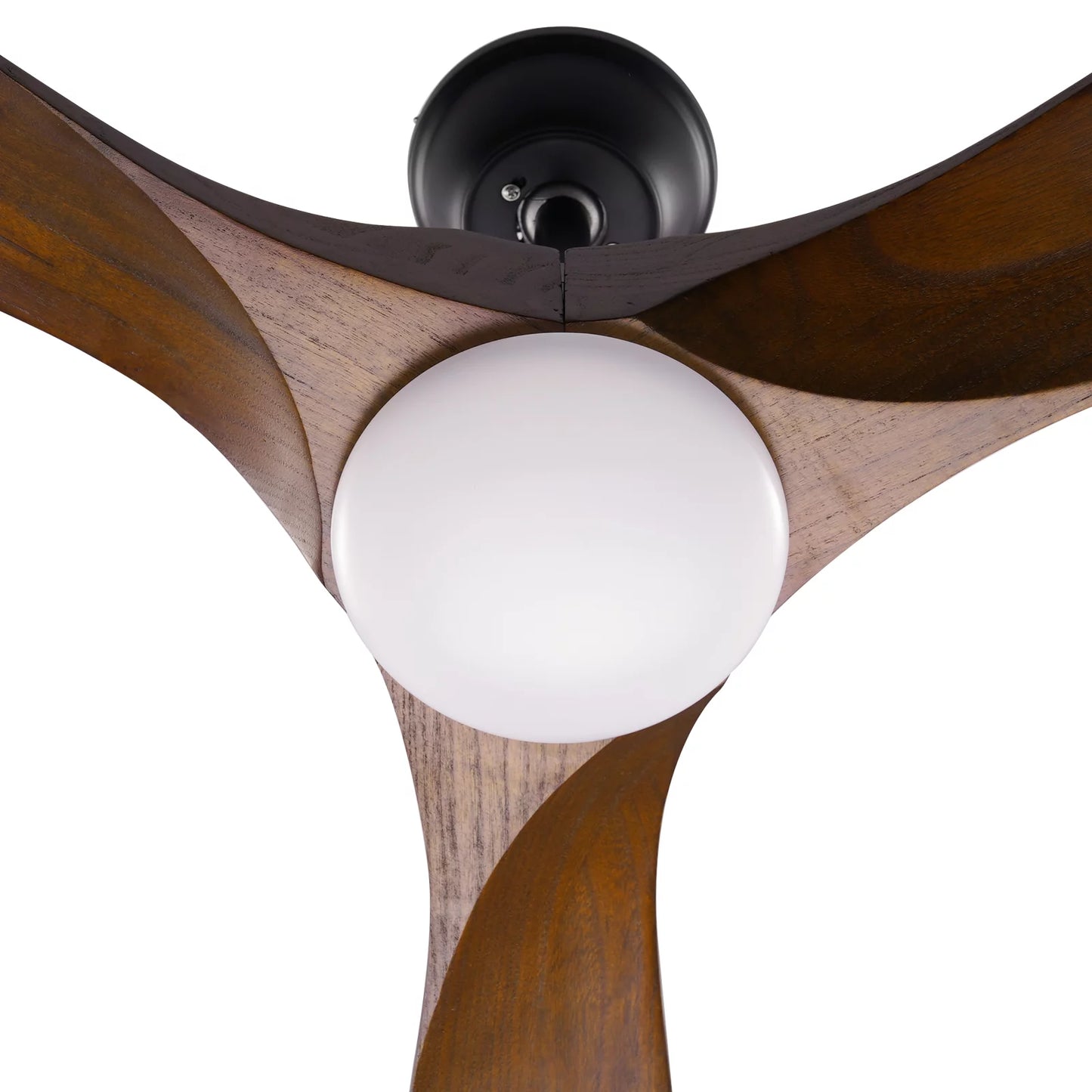 WIAWG 52" Ceiling Fan with Light and Remote 3 Blades Brown